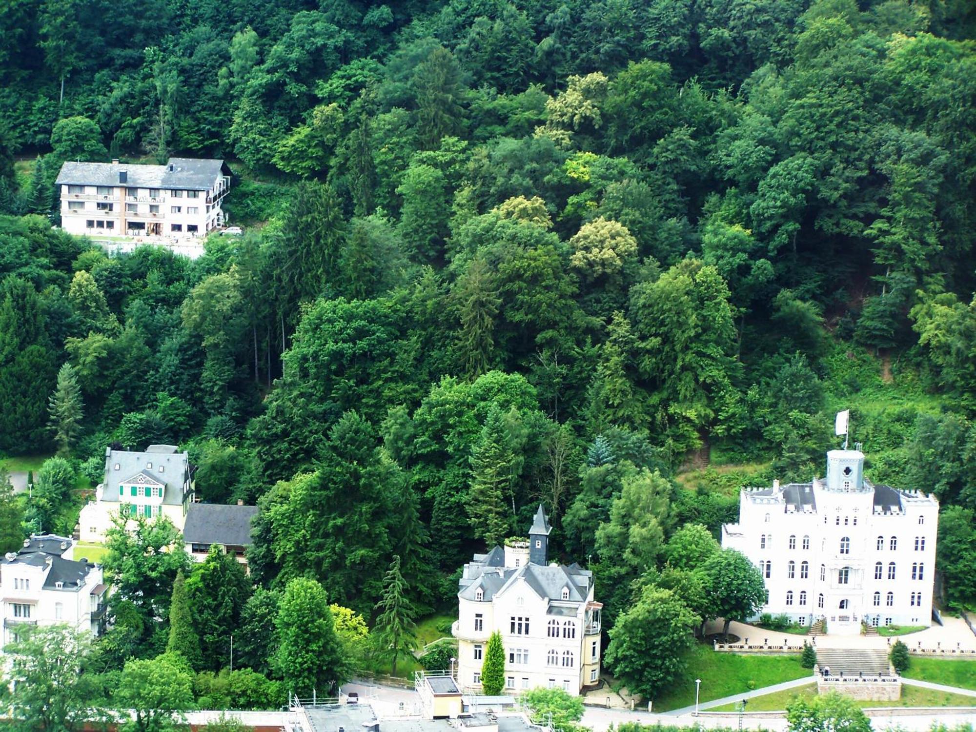 Ferienwohnung "Villa Alexander" 4 Dtv-Sternen Neu Eroffnung Bad Ems Exterior foto